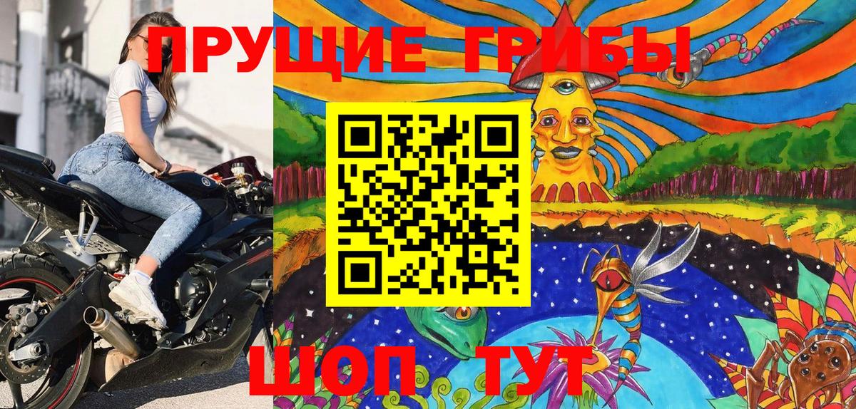 Псилоцибиновые грибы Psilocybe Скопин
