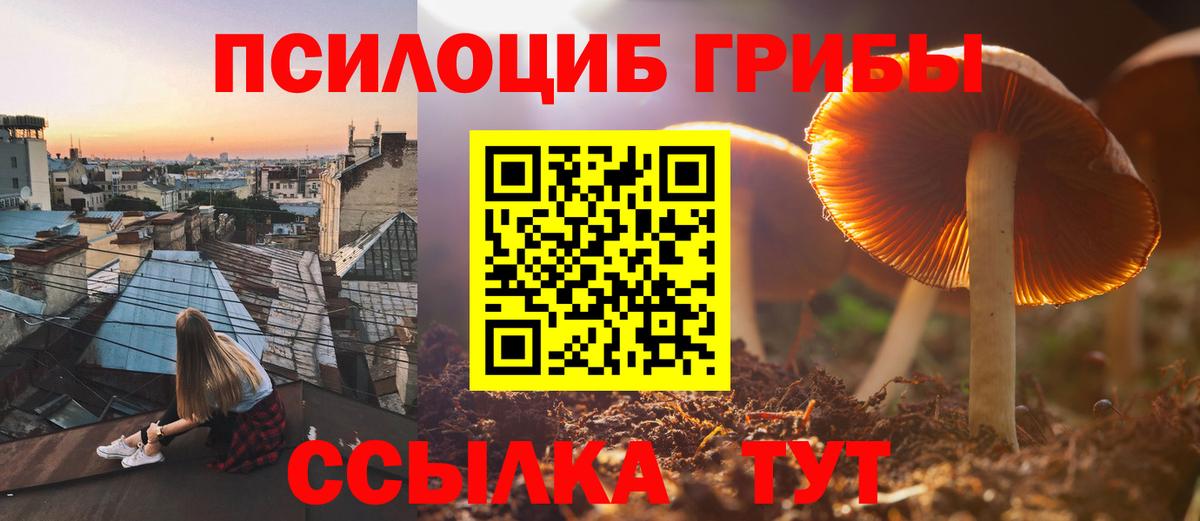 Скопин  Галлюциногенные грибы Magic Shrooms  где купить наркоту  Вход с VPN  Псилоцибиновые грибы мицелий 