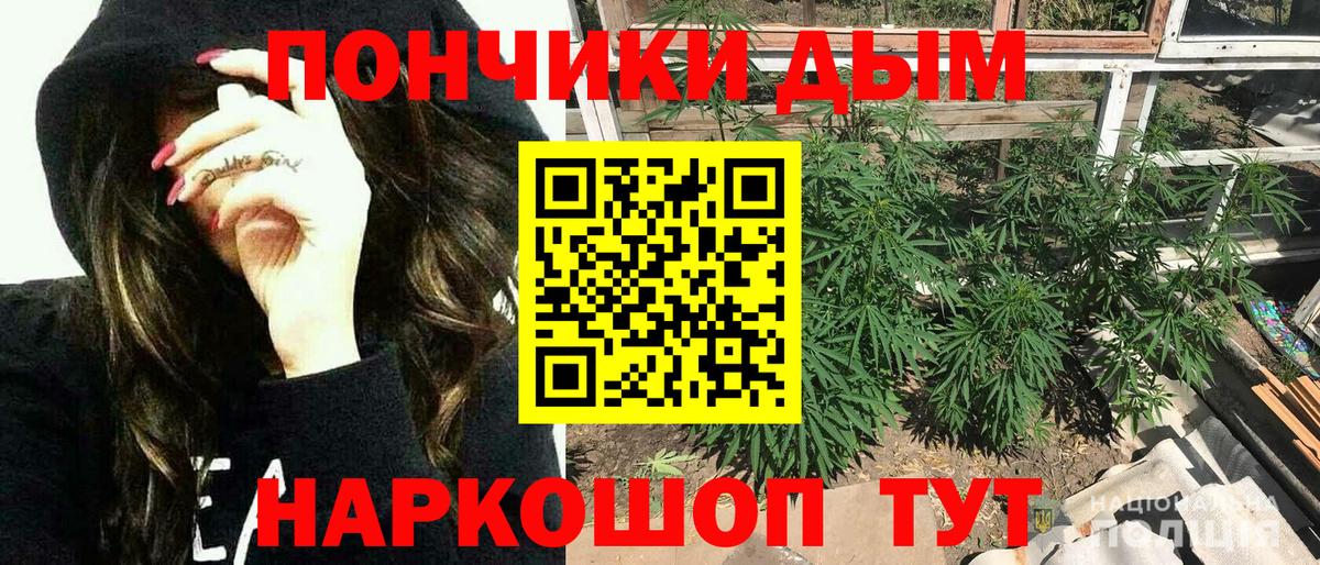 Бошки Шишки ГИДРОПОН Скопин